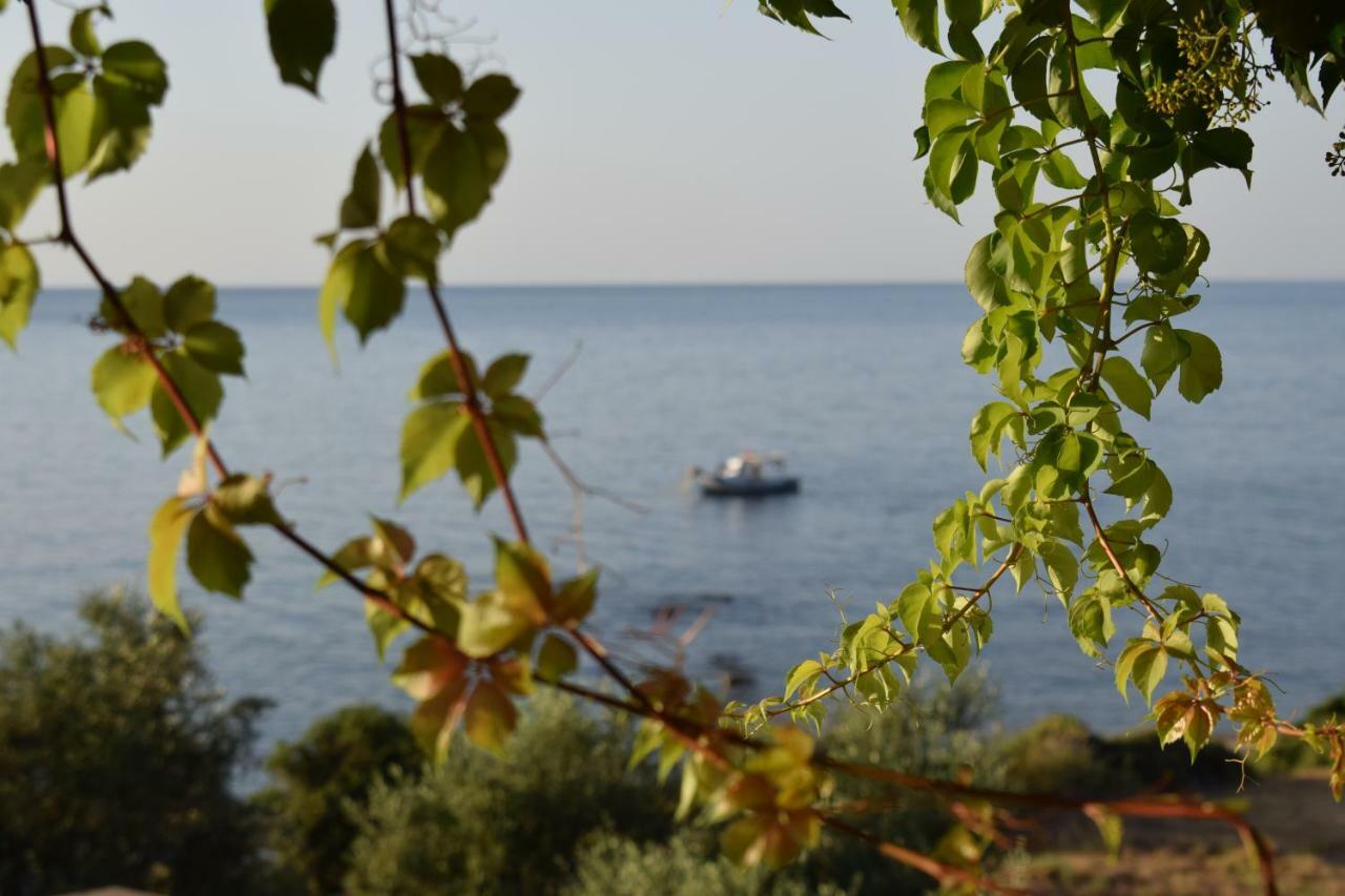 Alexandros Seaside Family Apartments & Villas - Paradise, 7' From Petalidi Kalamaki  Eksteriør bilde
